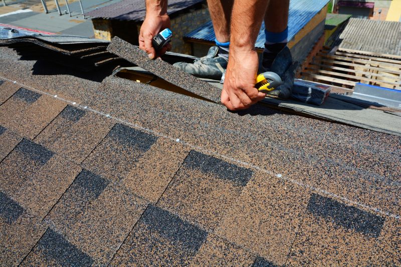 Common Signs You Need Asphalt Shingle Roof Repair