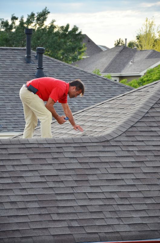 Inspection of a roof