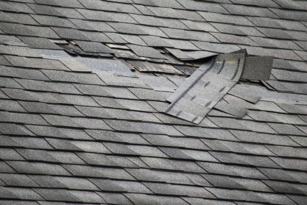 Roof Hole Repair in Enfield