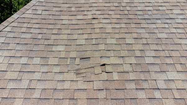 Roof Leak Inspection in Enfield