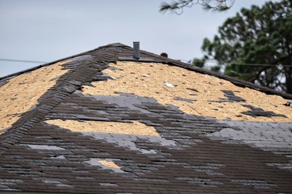 Roof Damage Restoration in Enfield