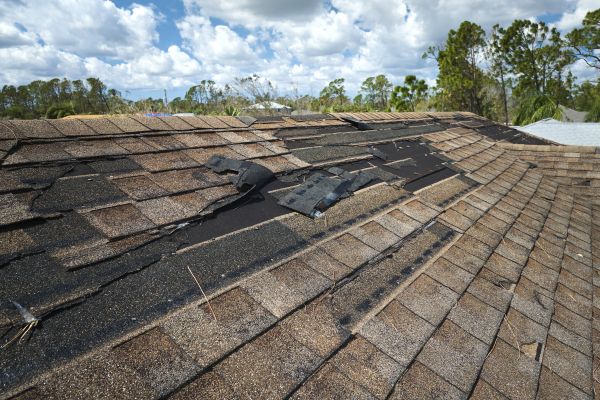 Roof Damage Repair in Enfield