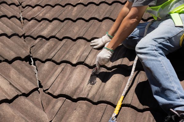 Roof Tile Sealing in Enfield