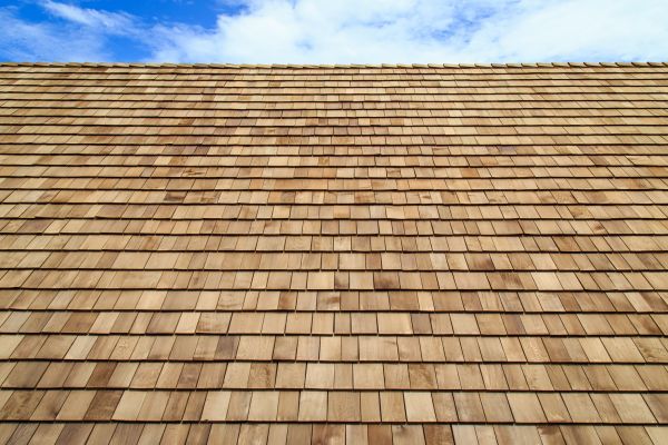 Shake Shingle Repair in Enfield