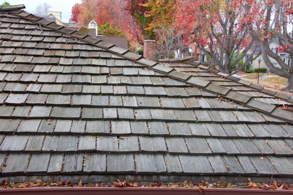 Wood Shingle Roof Installation in Enfield